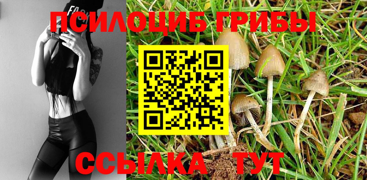 Городец  Галлюциногенные грибы MAGIC MUSHROOMS  Псилоцибиновые грибы прущие грибы  Вход с VPN 